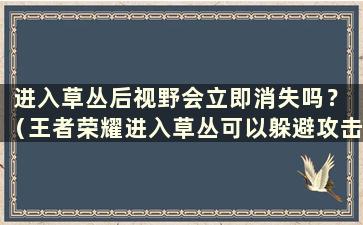 进入草丛后视野会立即消失吗？ （王者荣耀进入草丛可以躲避攻击吗？）